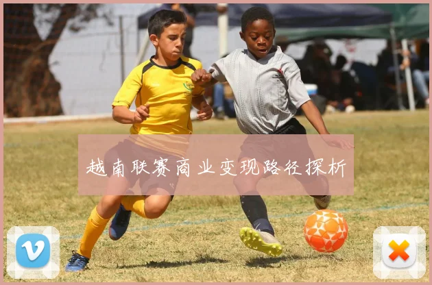 越南联赛商业变现路径探析