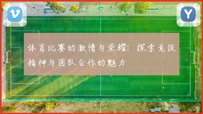 体育比赛的激情与荣耀：探索竞技精神与团队合作的魅力