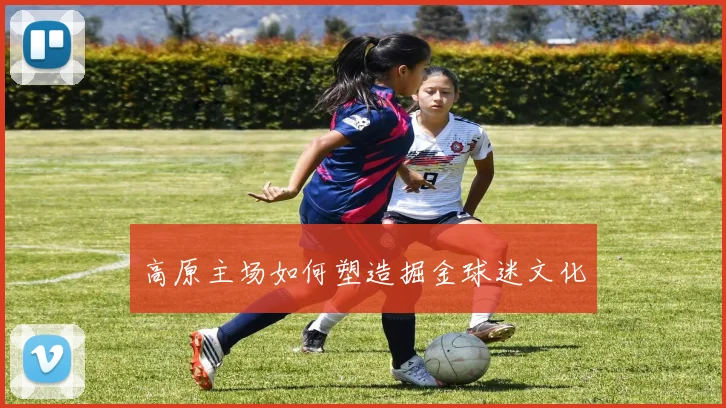 高原主场如何塑造掘金球迷文化