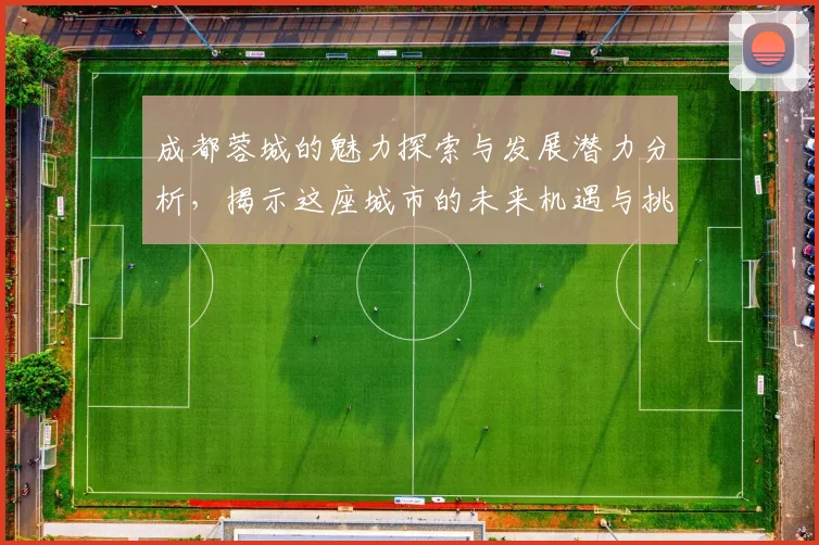 成都蓉城的魅力探索与发展潜力分析，揭示这座城市的未来机遇与挑战