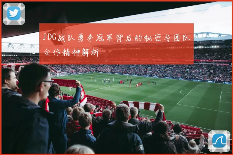 JDG战队勇夺冠军背后的秘密与团队合作精神解析