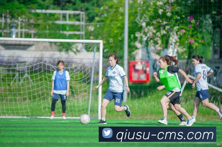 多媒体互动体验